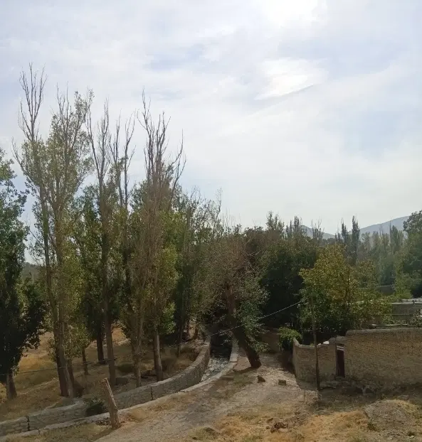 زمینهای دادگستری ۱۹۸ متر