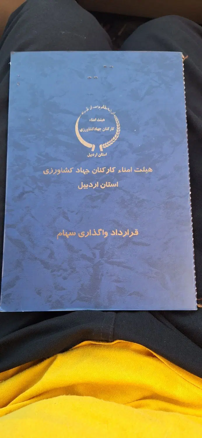 قرارداد علی رزمی بنفشه درق