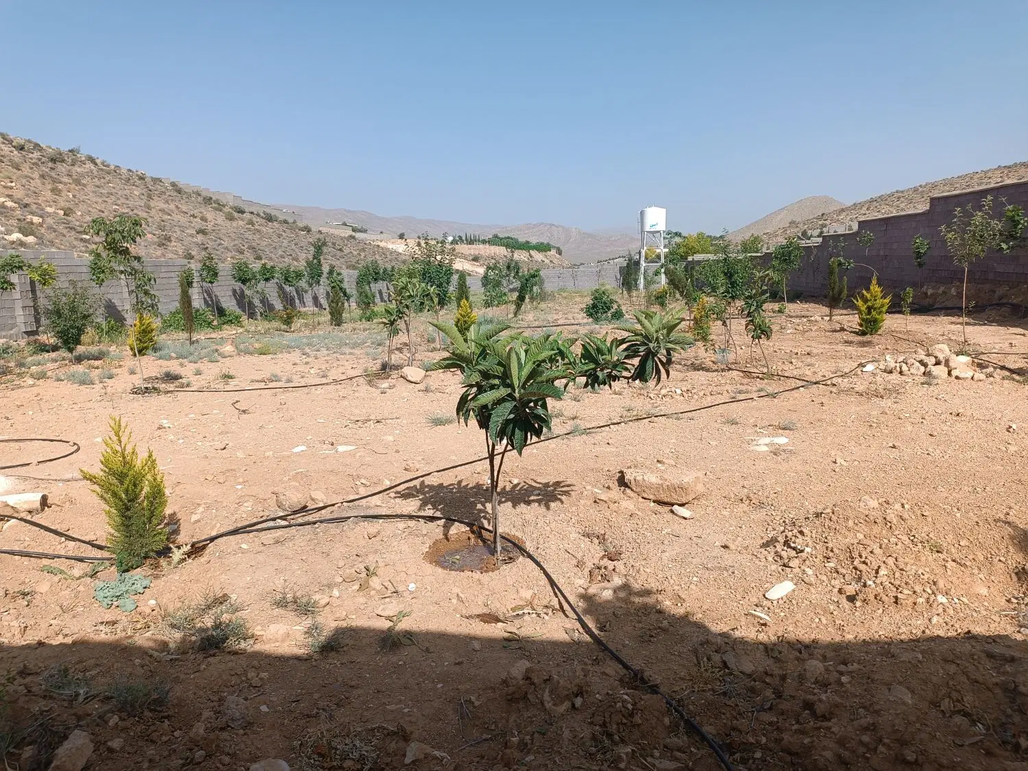فروش باغ پردیس ملوسجان