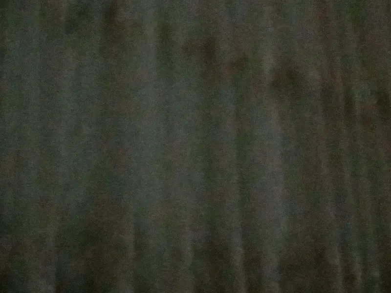 همخونه