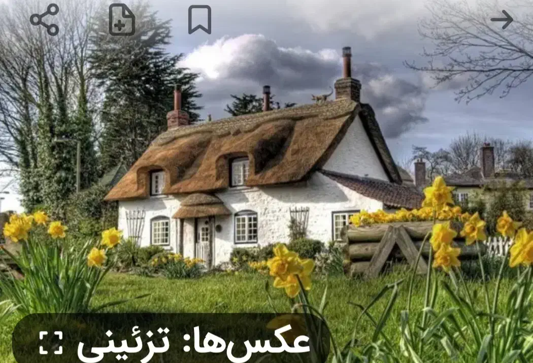 همخونه