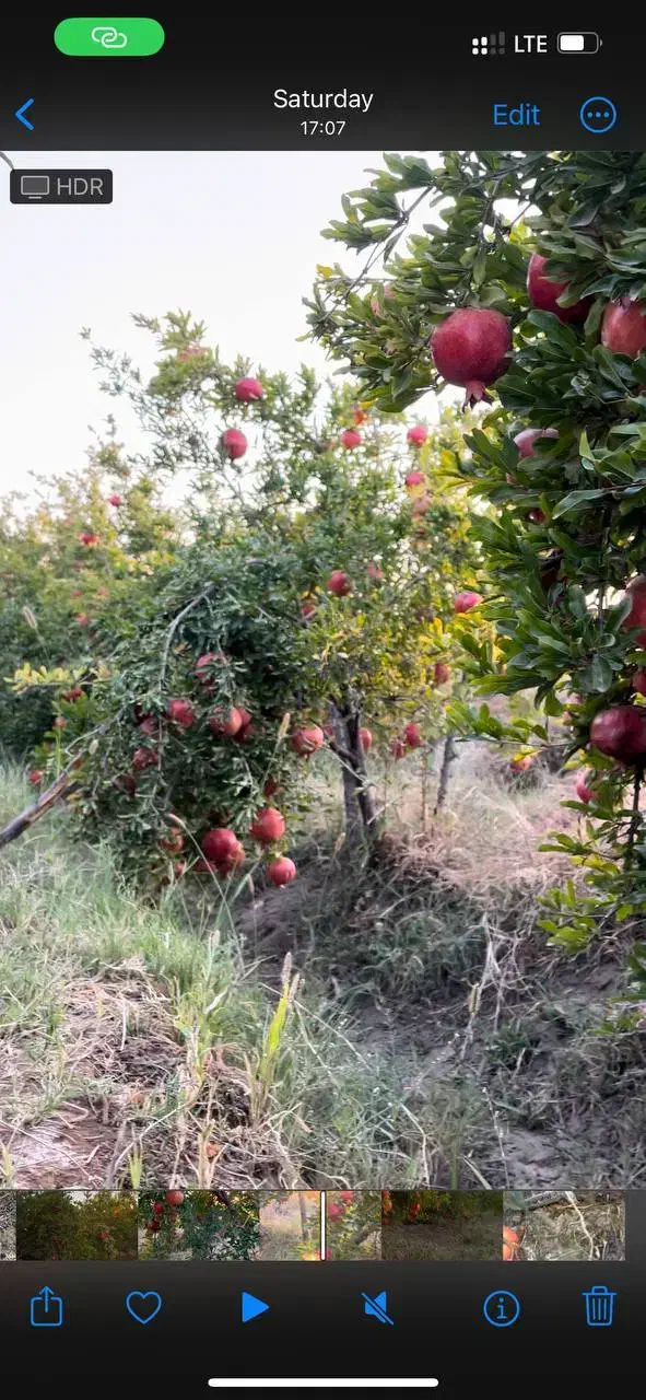 فروش باغچه تفریحی
