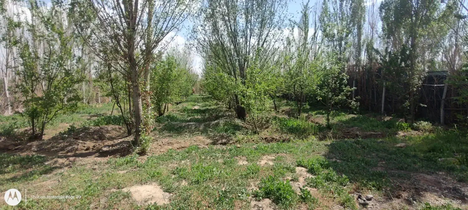 باغ 1000 متری در فیروزبهرام تهران