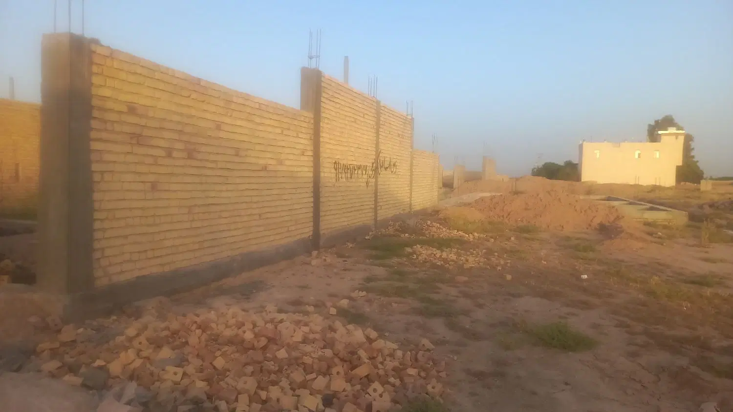 اسکلت
