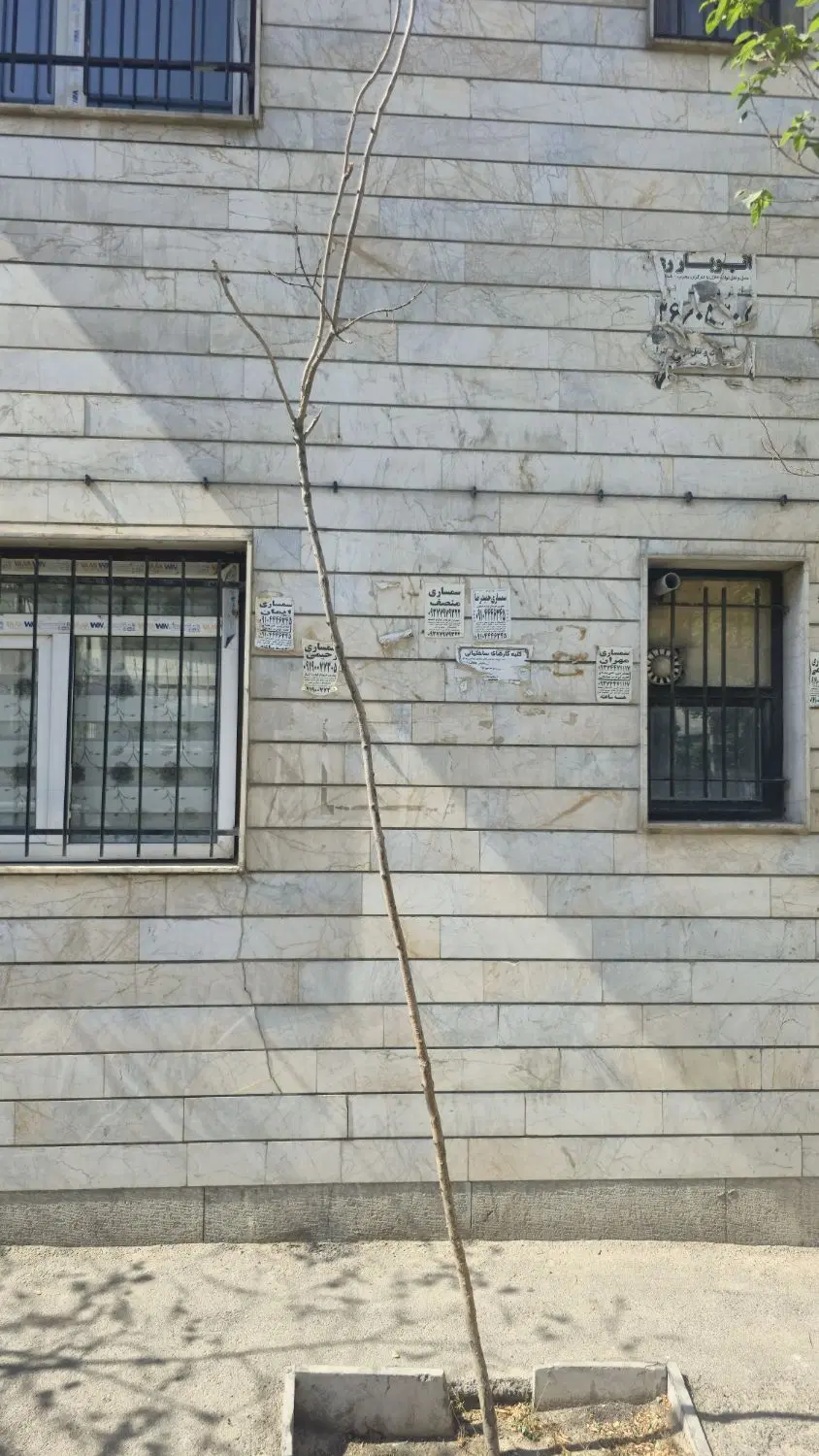 کلنگی قابلیت مشارکت دوطرف