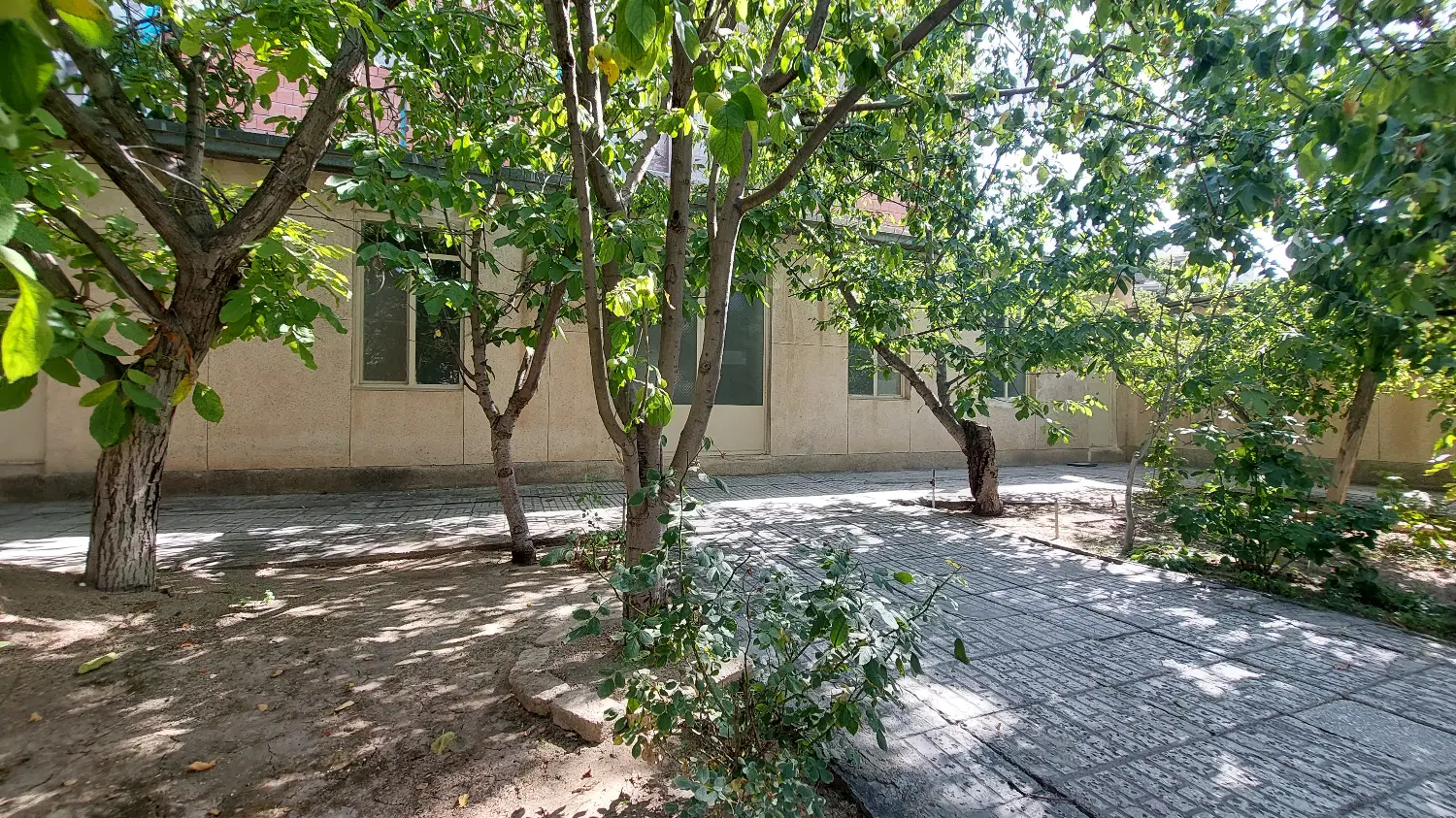 اجاره خانه ویلایی۶۵متری ۱خواب ۱۷شهریور جنوبی شقایق