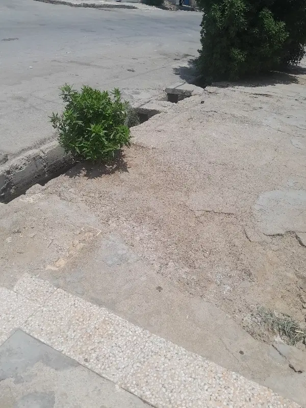 زمین گچساران