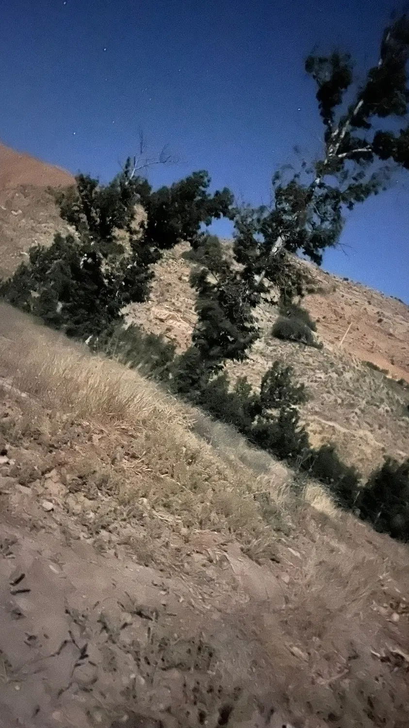 زمین ۲ هکتاری جاده مجد آباد