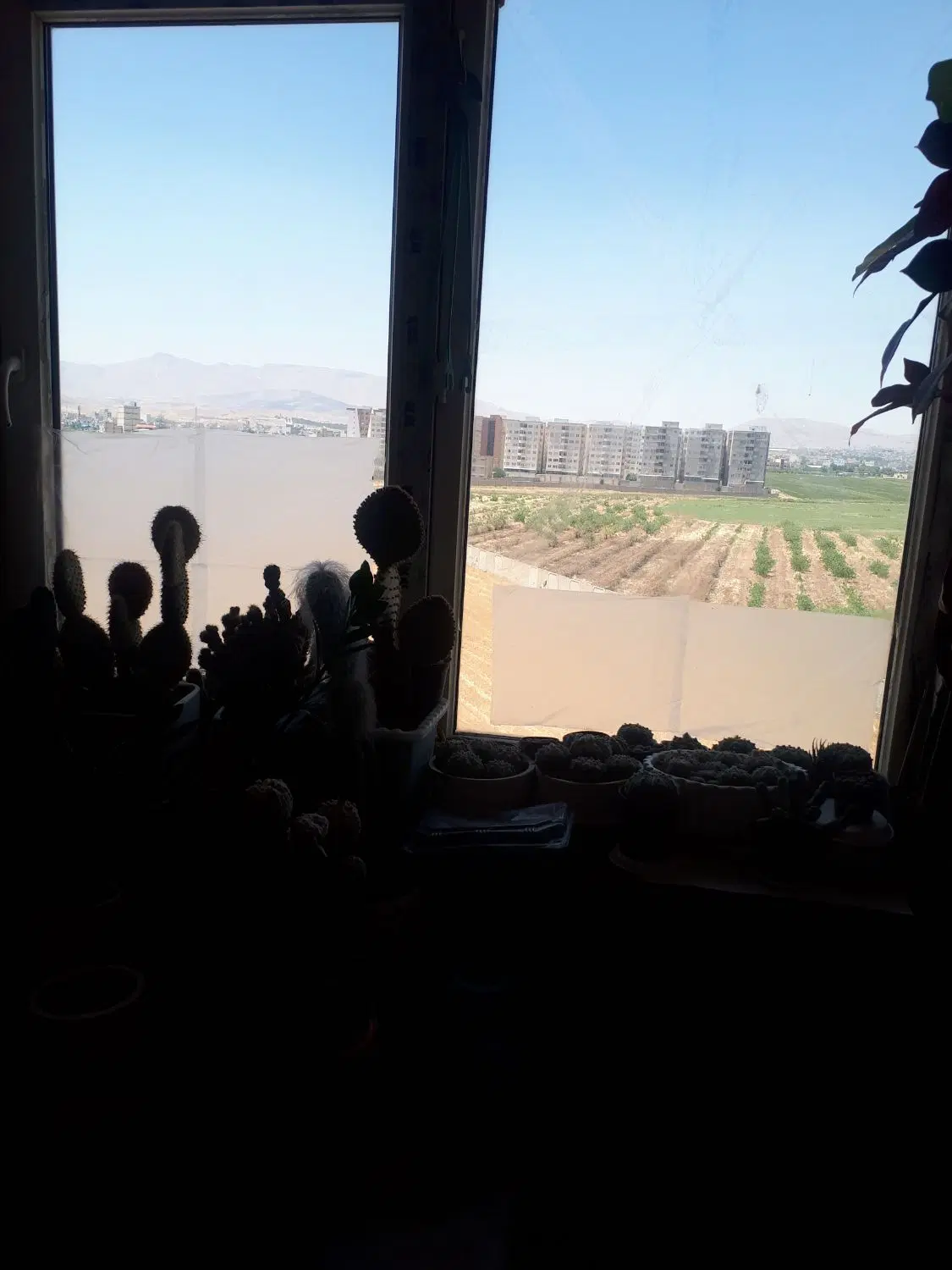 رازی ۲