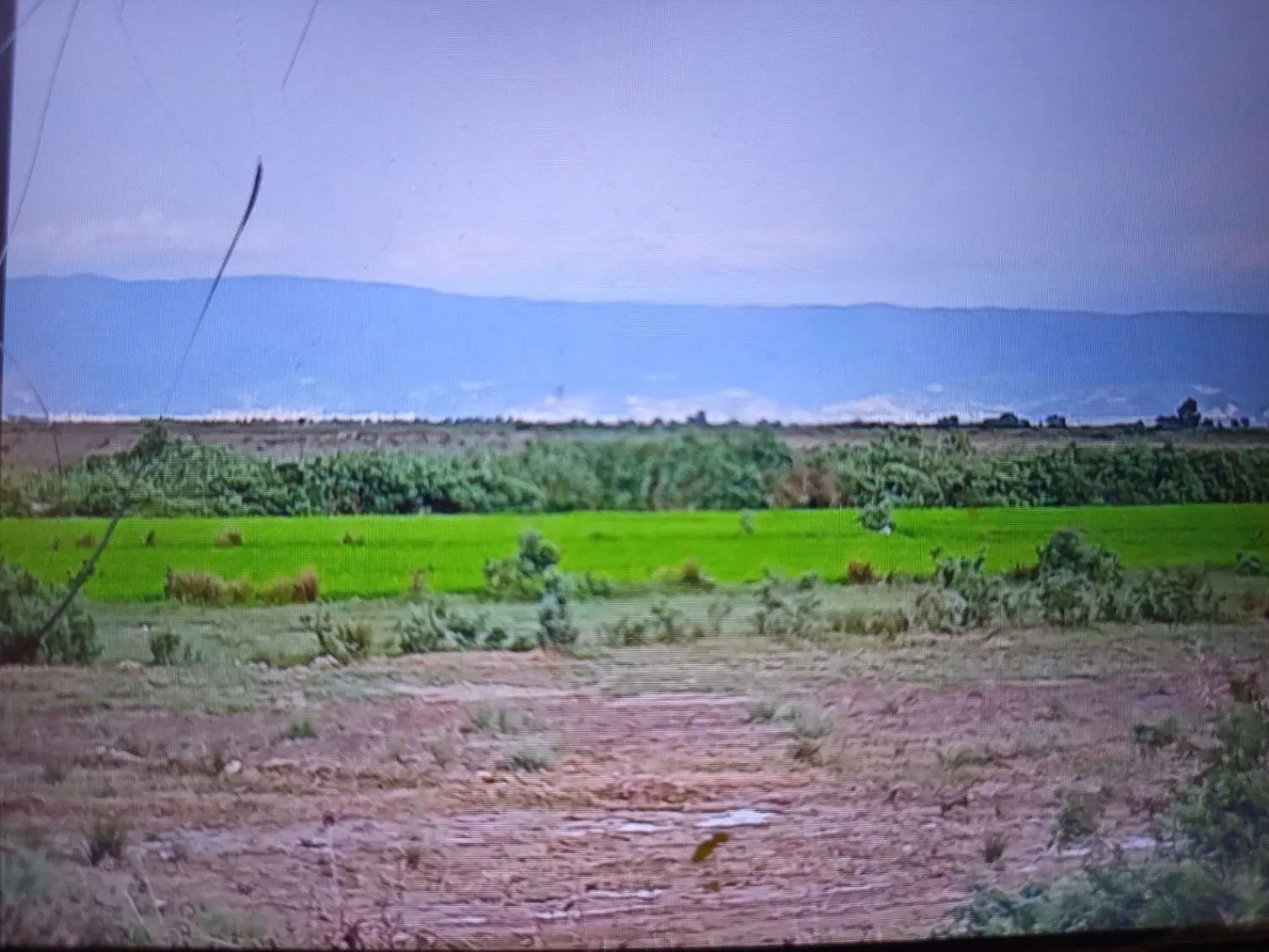زمین با موقعیت خوب در شهر ساری