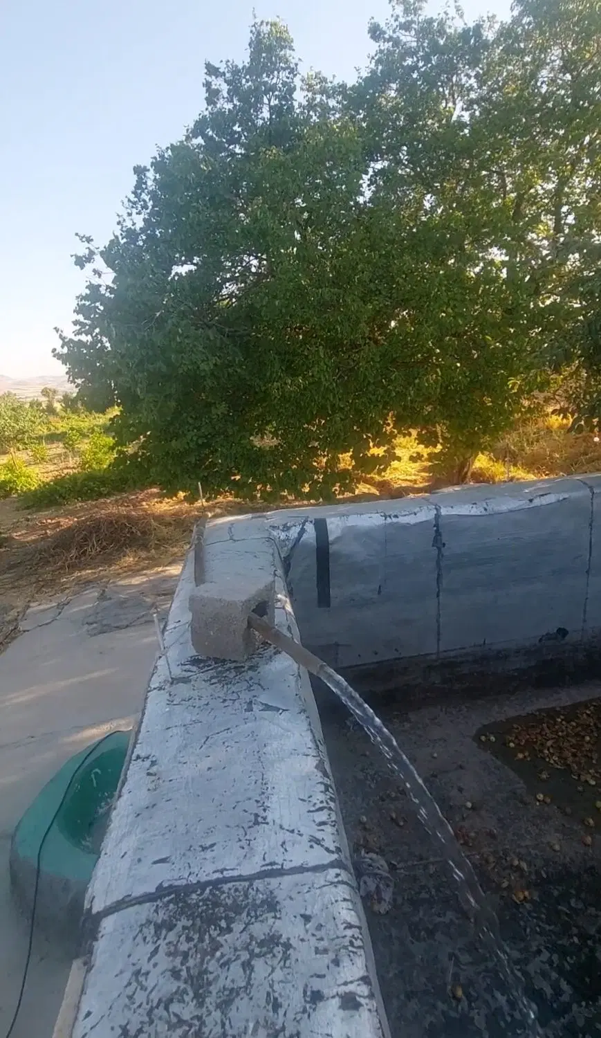 باغ