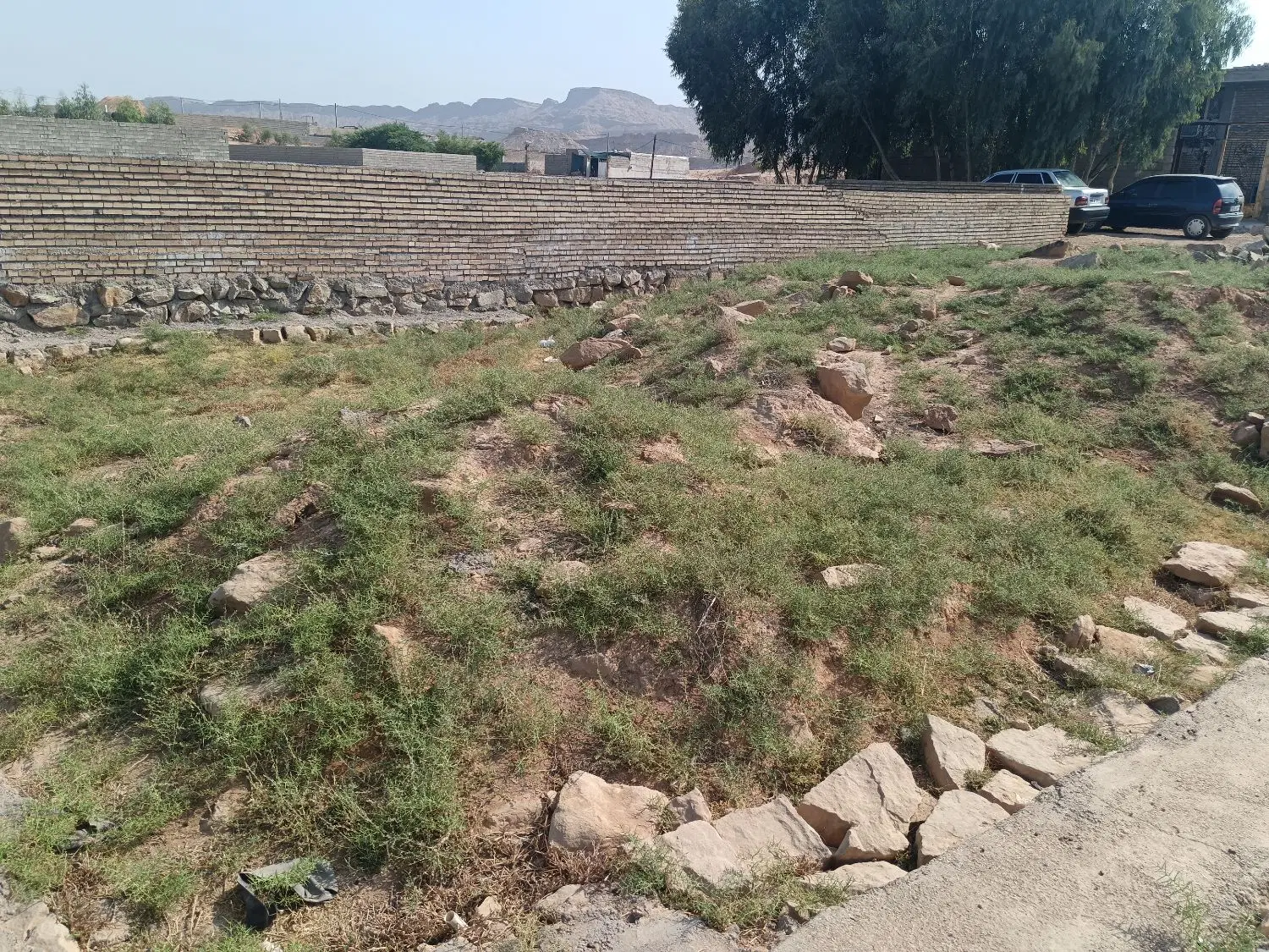 زمین بهشت رضا