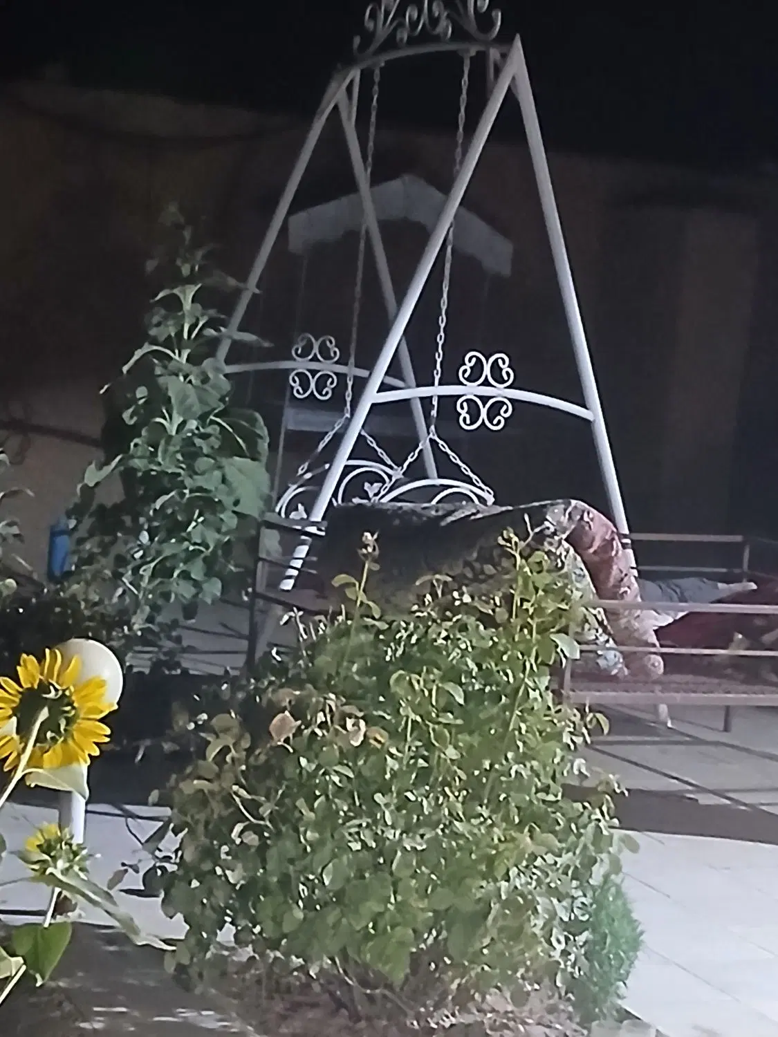 خانه باغ