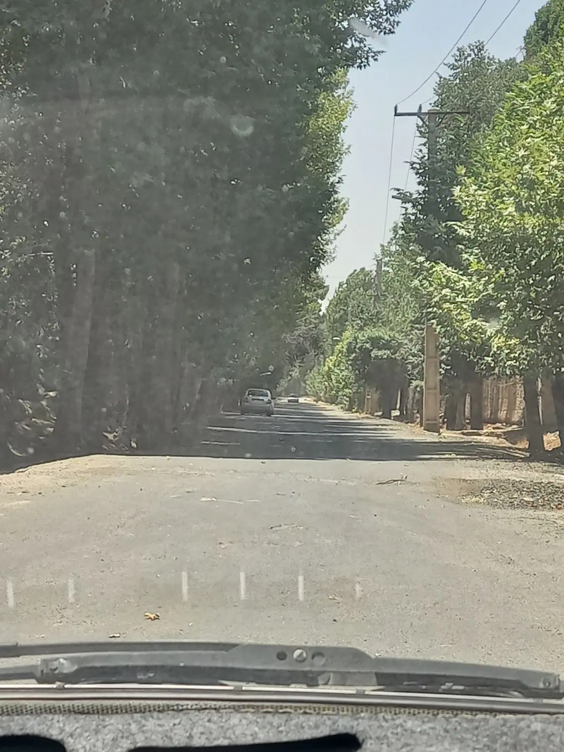 باغ آباد در خیابان گلبرگ