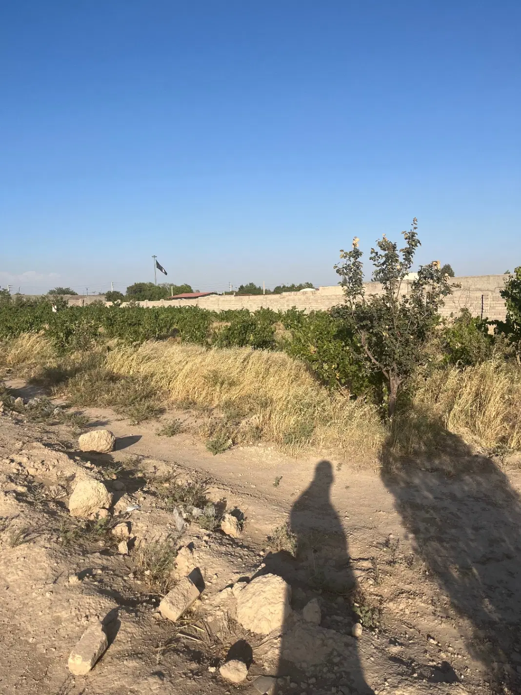 زمین باغی ۴۰۰ متر فروشی