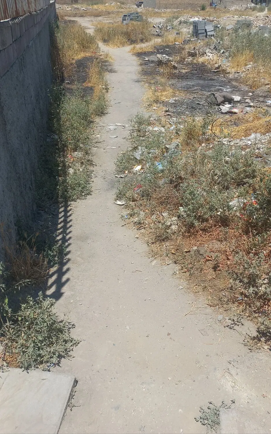 شیخ شلتوت بر بلوار اصلی