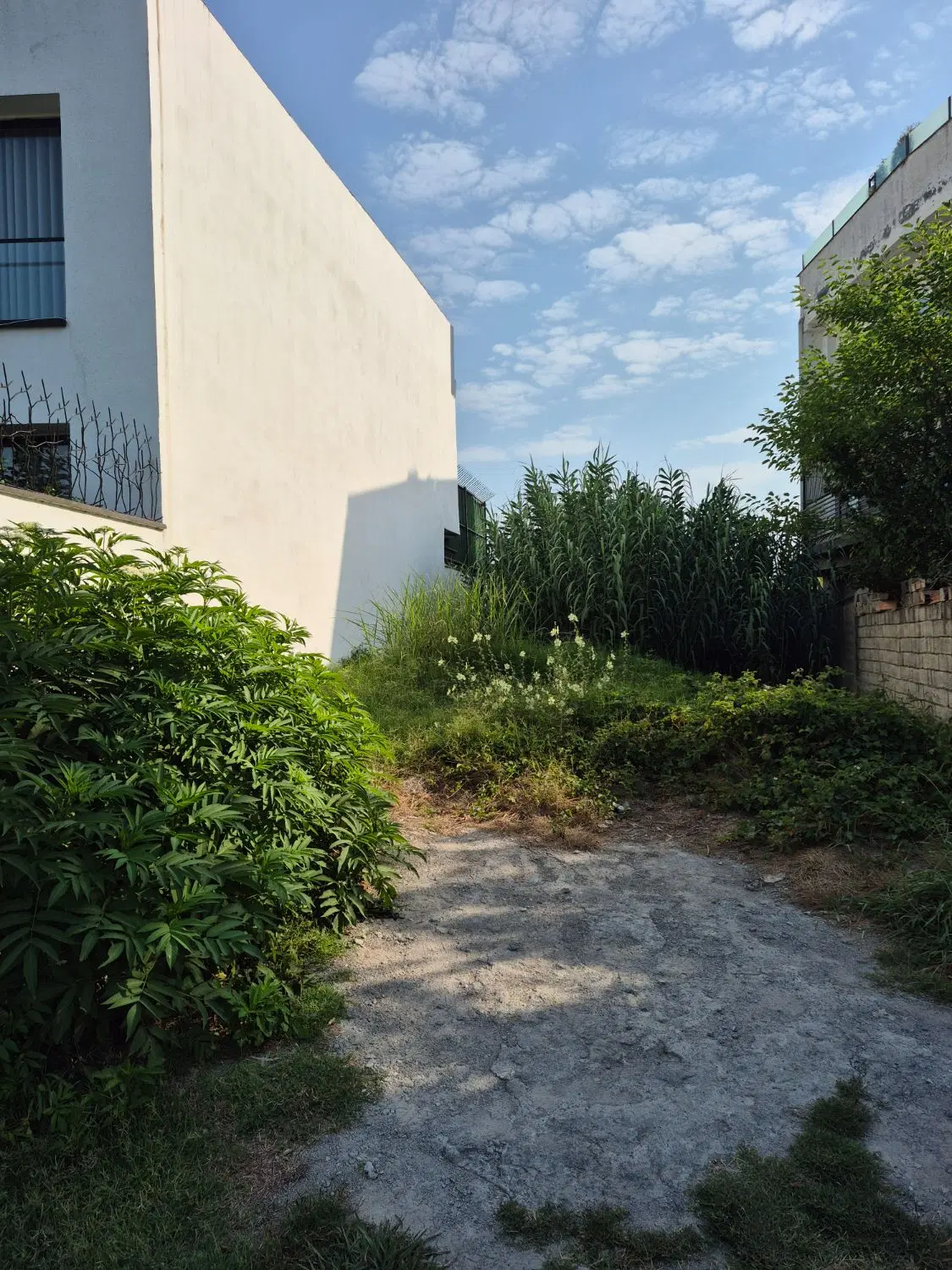زمین ۱۶۰متری محدوده شهرک دریاکنار