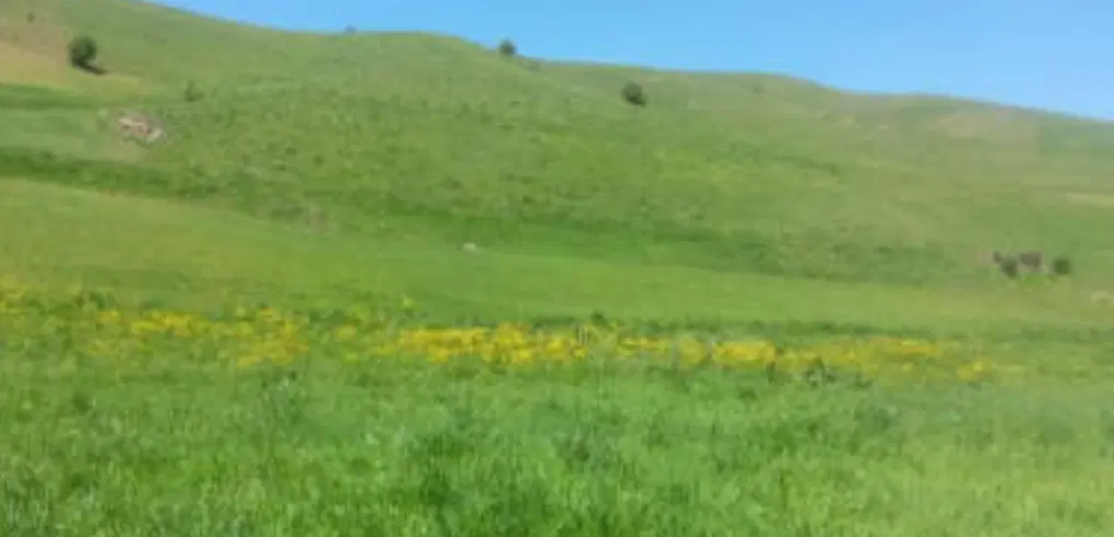 فروش زمین روستای خطایلو