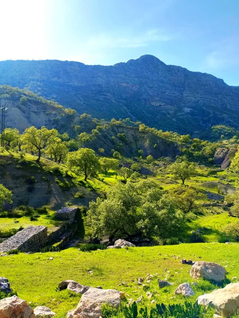 باغ 500 متری بیرجند
