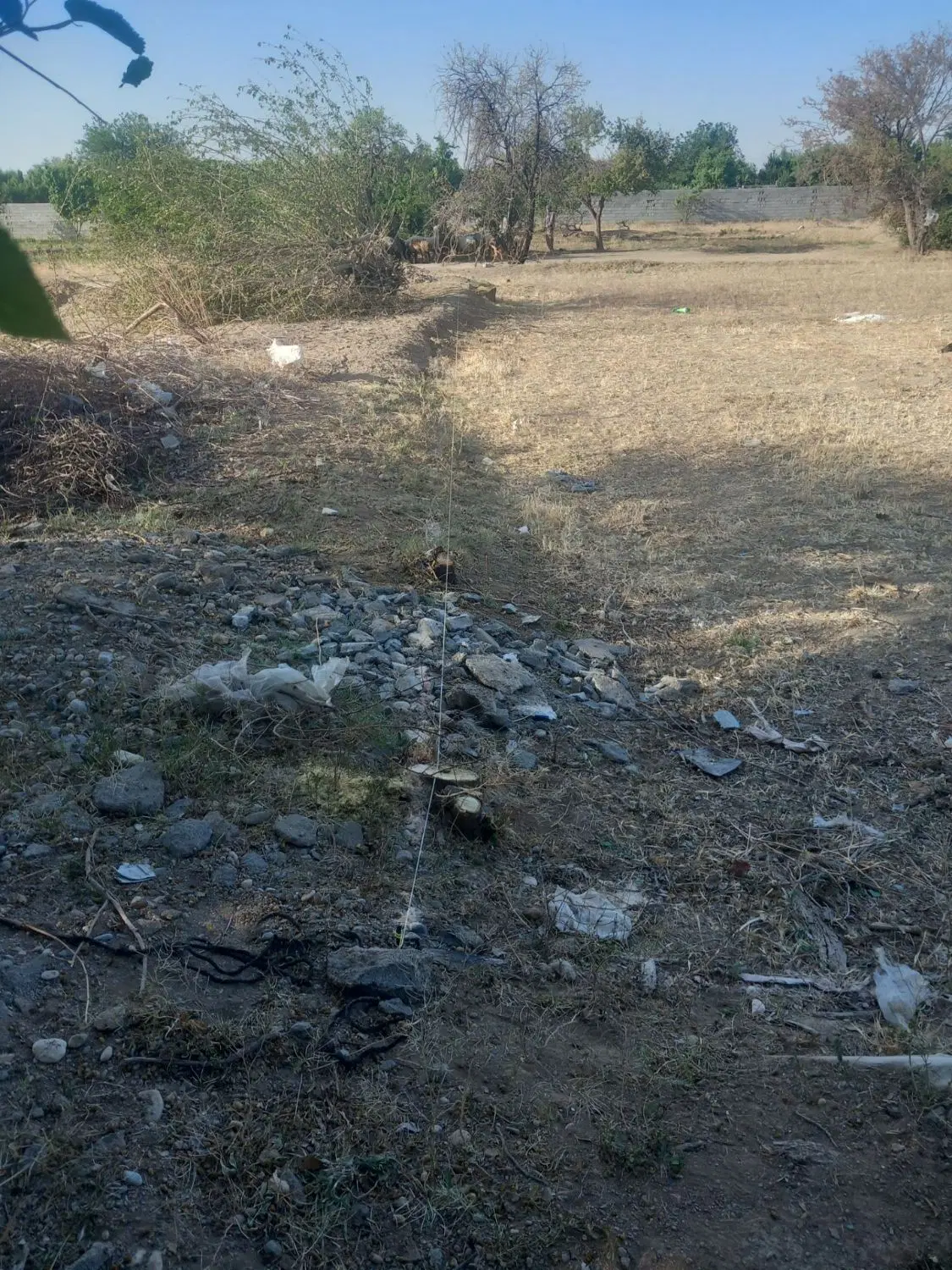 زمین کشاورزی در زرین شهر