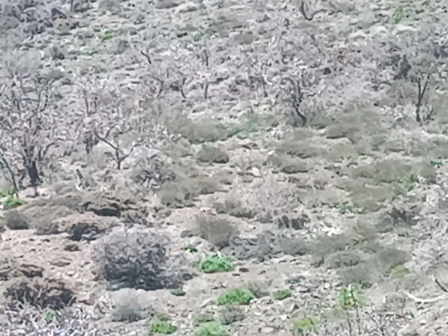 فروش زمین