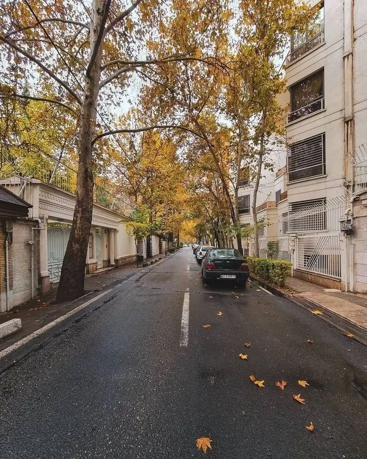 محمدزاده » واحدجلو قدرالسهمی_ زوج خانه اولی_ پارس