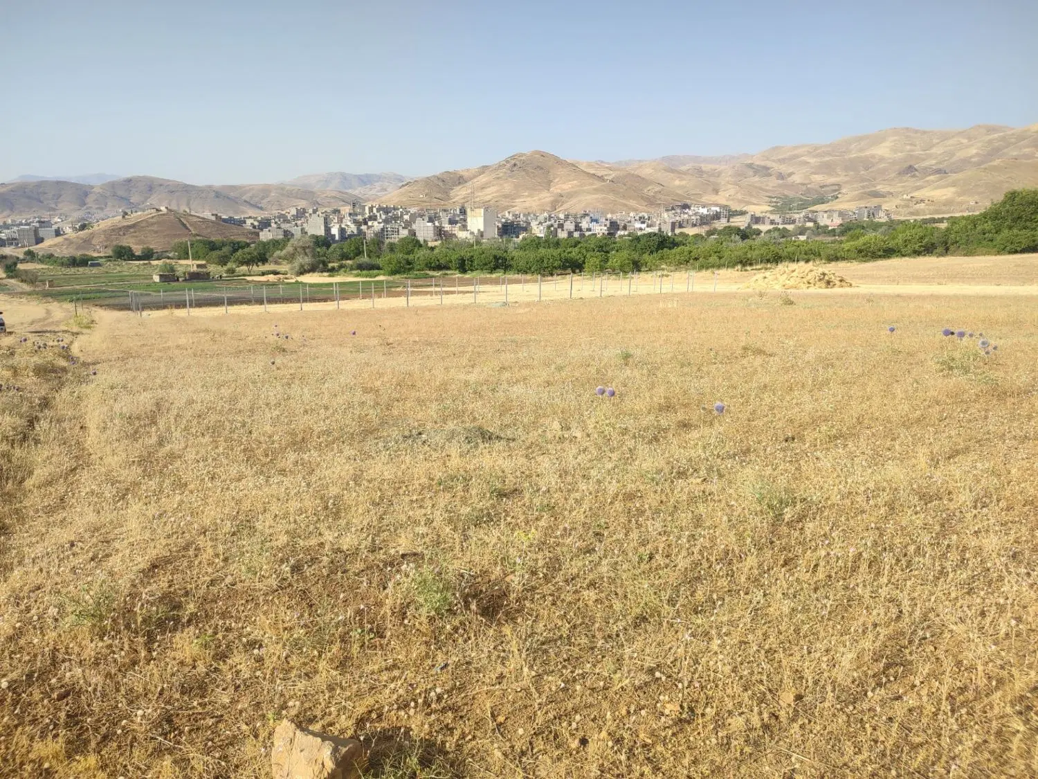 فروش زمین کشاورزی در دوشان در حریم شهری