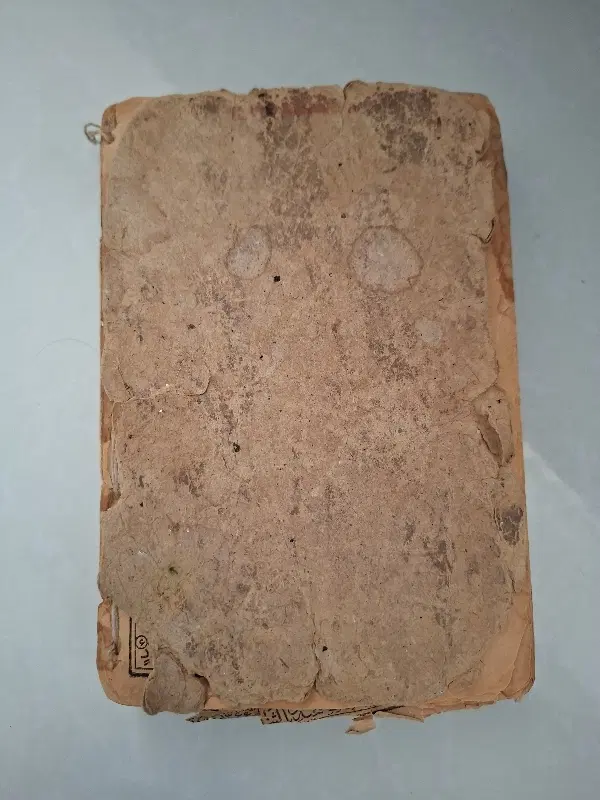 زمین فروشی حاشیه خیابان مهر