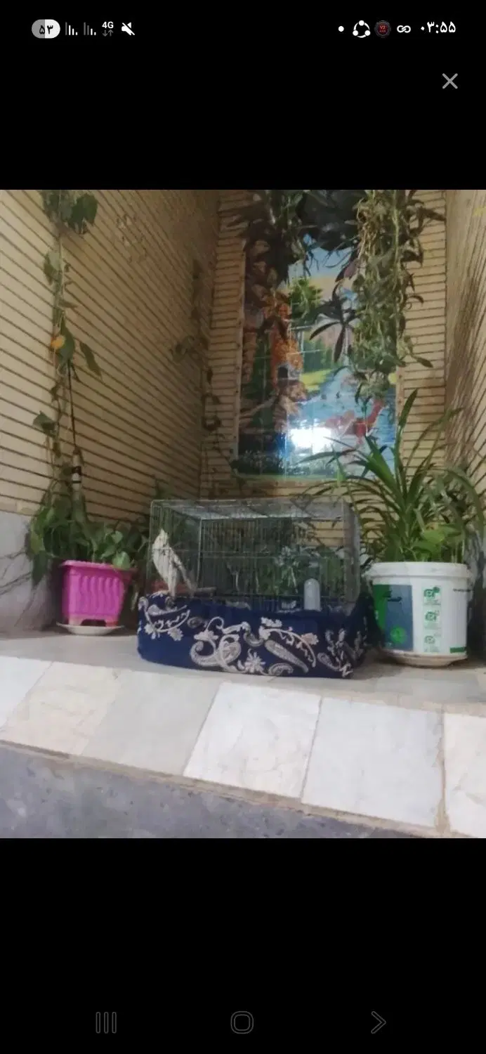 فروش خانه