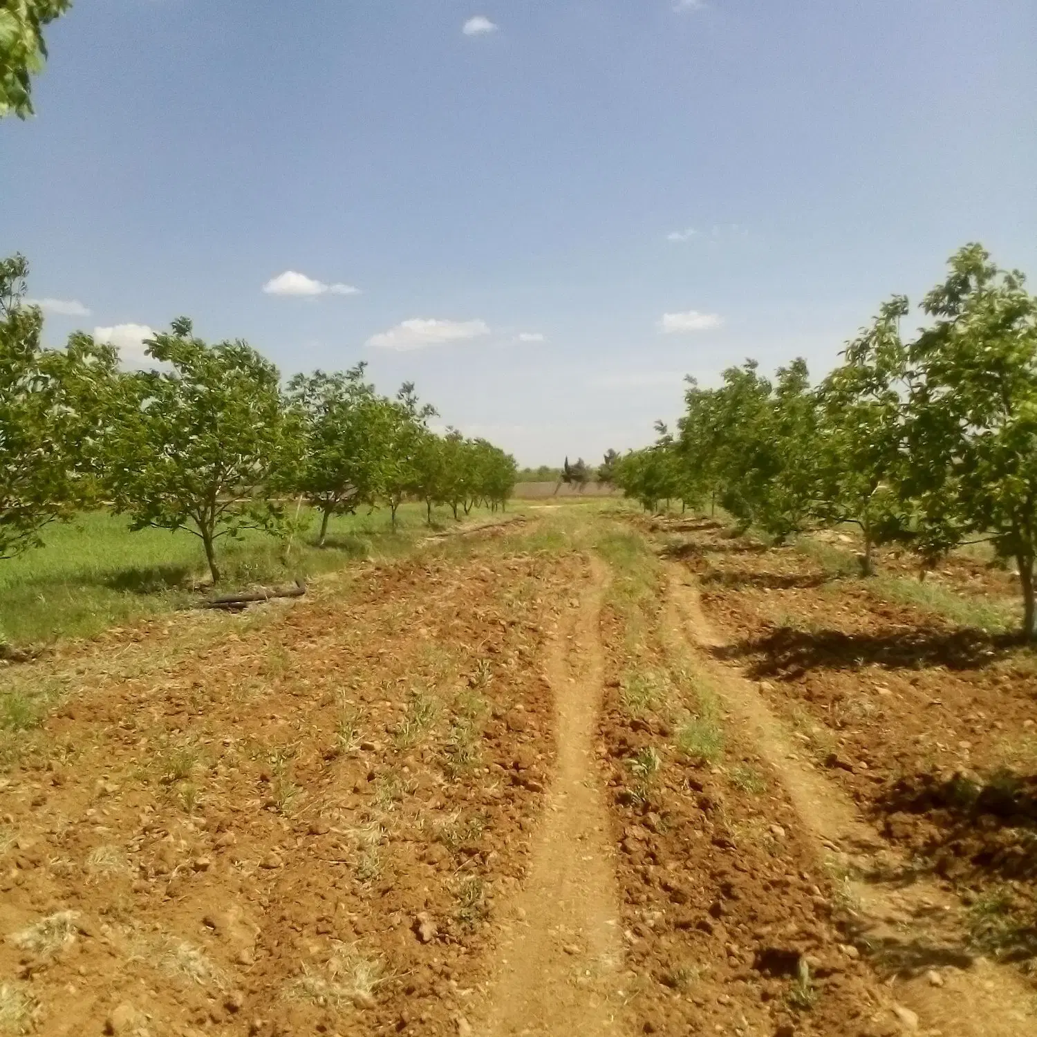 زمین ابپرده