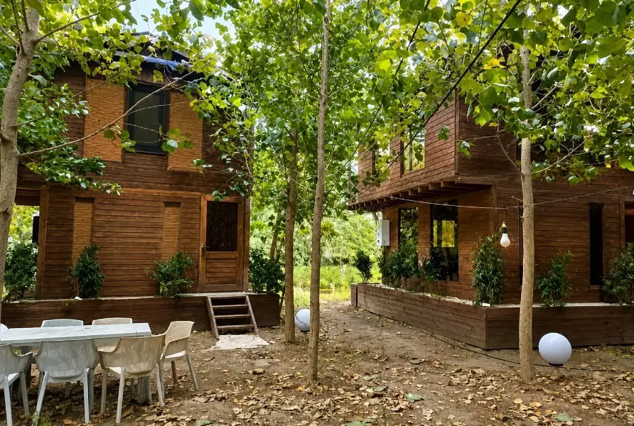 نگاهی متفاوت به آینده ای روشن