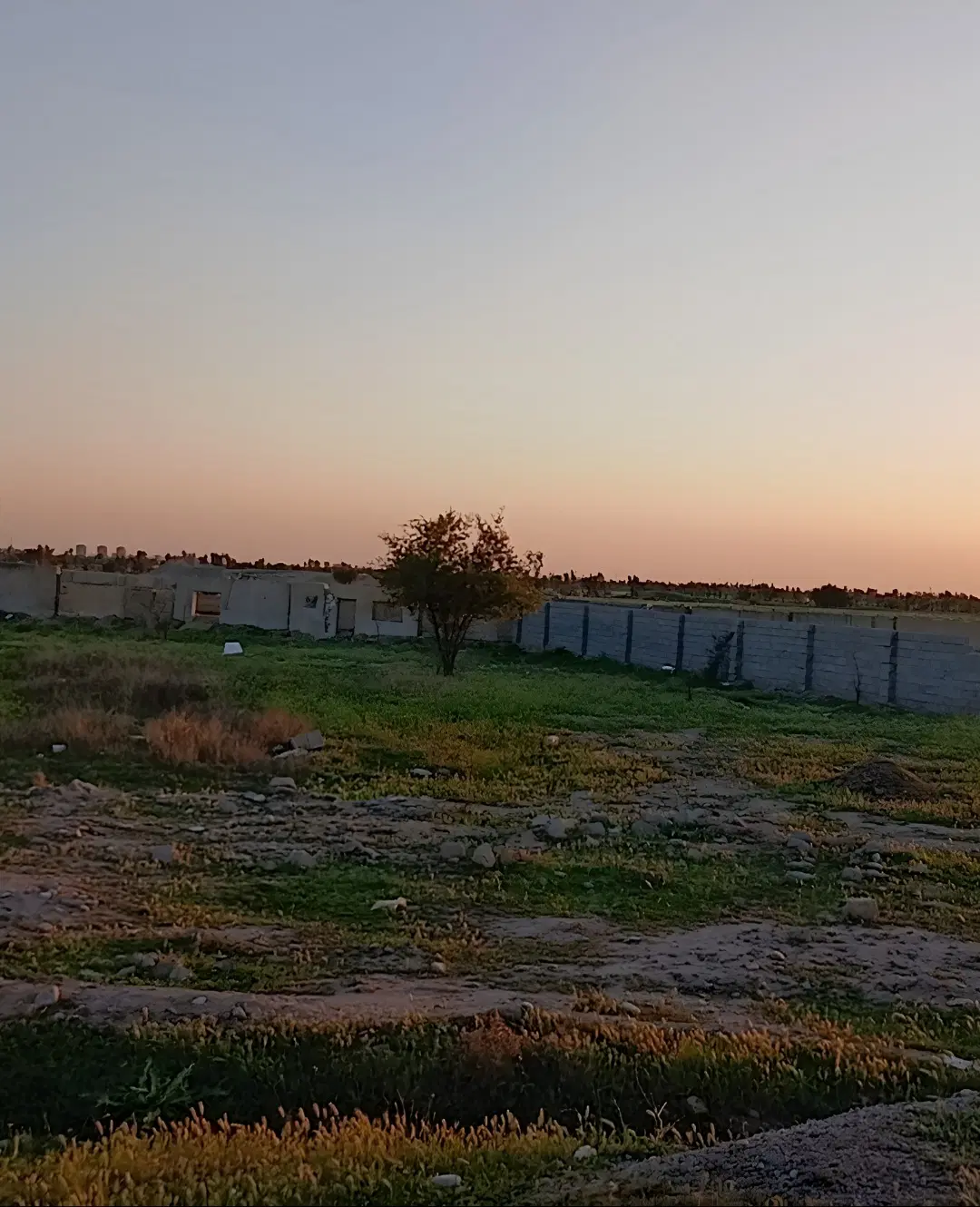 زمین باغی کمربندی اندیمشک دزفول