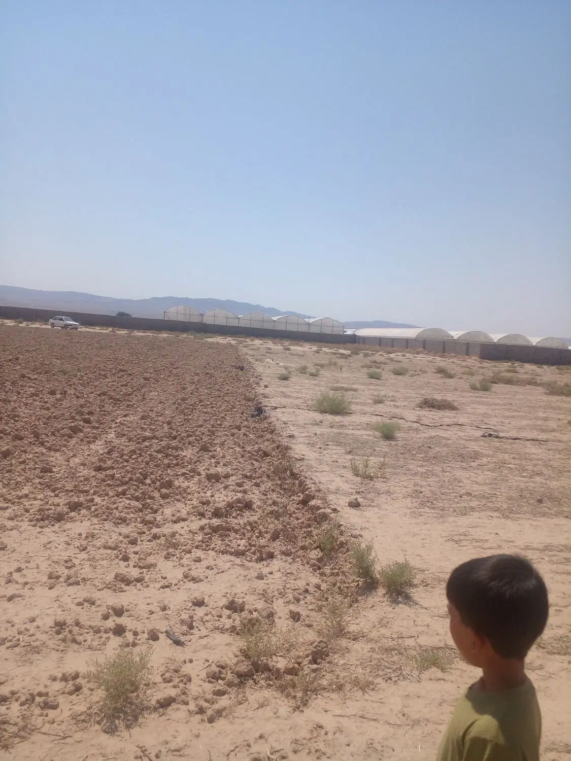 زمین برای گلخانه