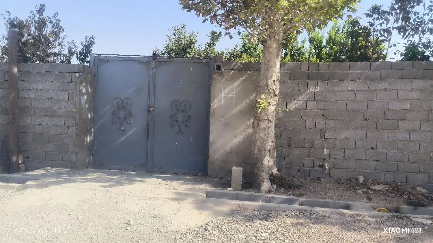 باغچه ۲۵۰ متری