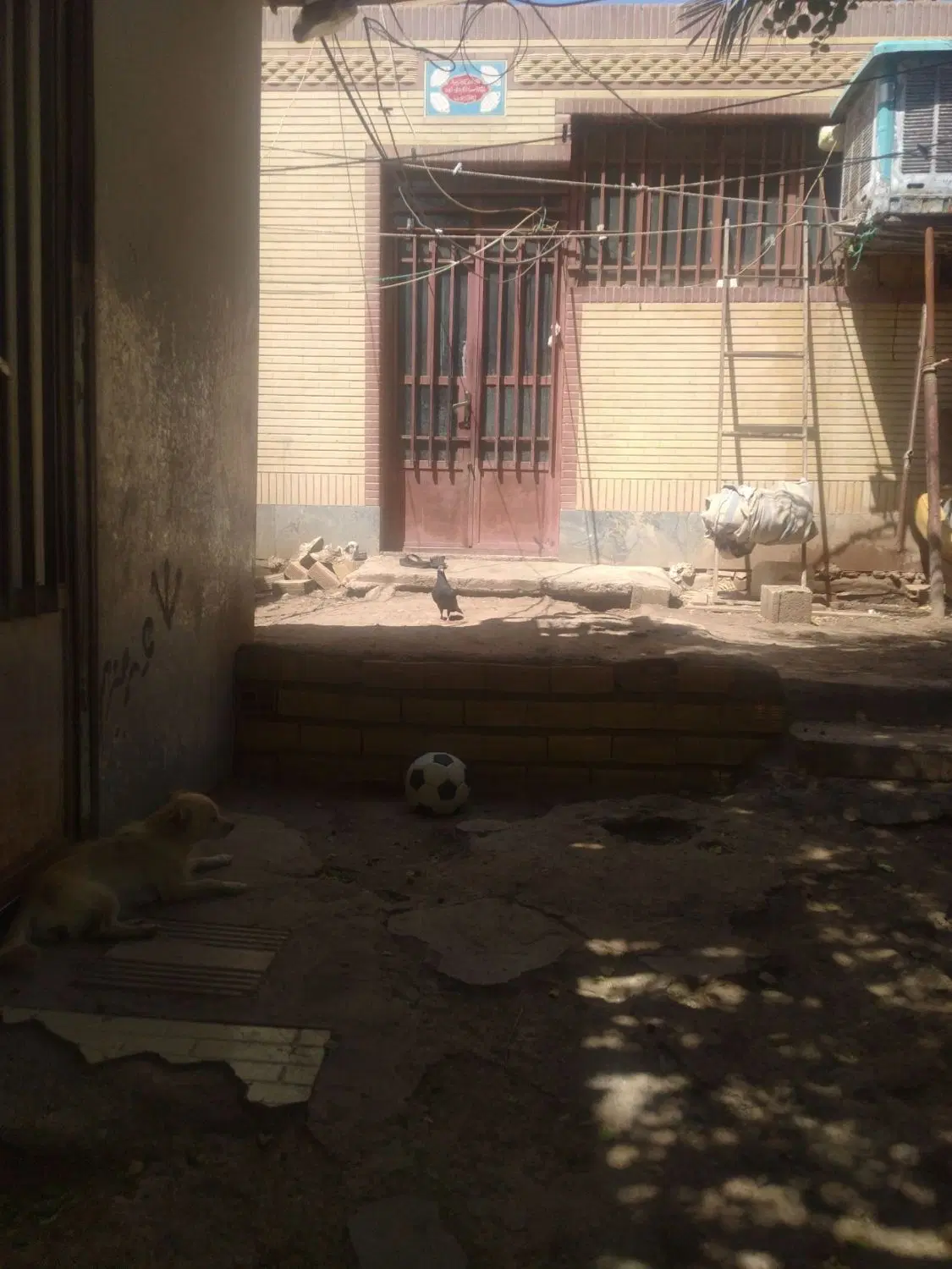 اجاره  ۶۵ متری خانواده و مجردهاو اتباع اجاره مدهیم