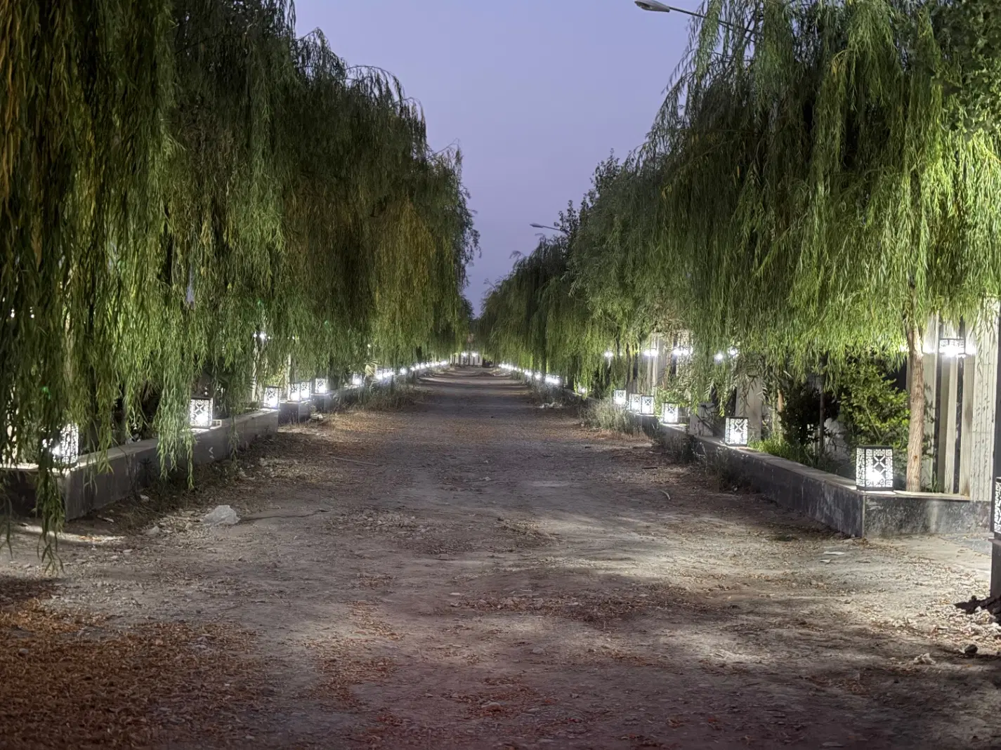 باغ باغچه