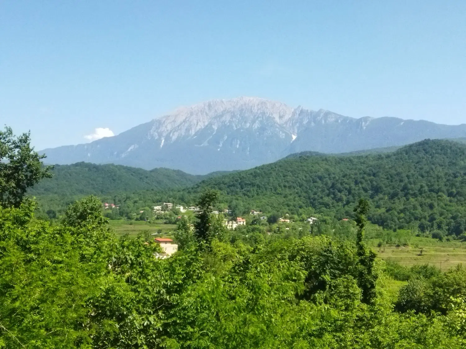 فروش زمین در گیلان، روستای حلیمه‌جان