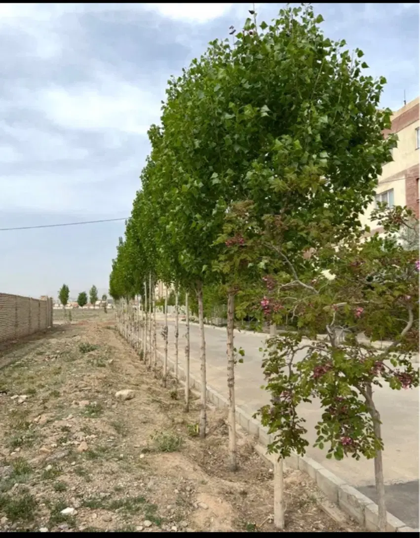 زمین آموزشی