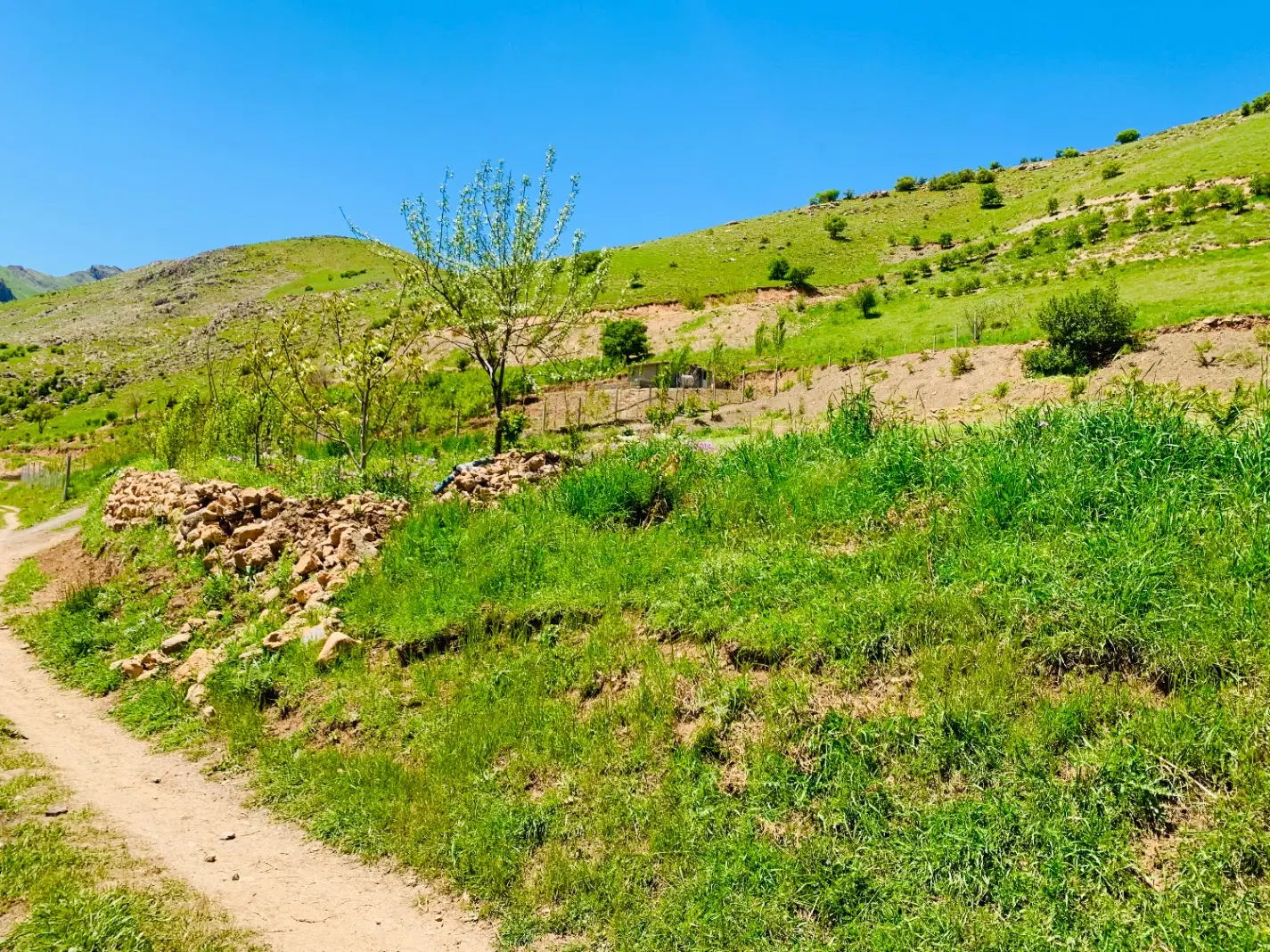 فروش زمین کیلانه