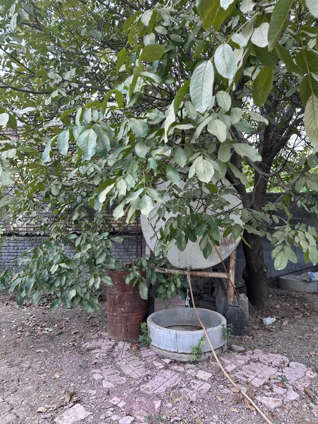 باغ ۱۲۰۰ متری دهکده گلستان