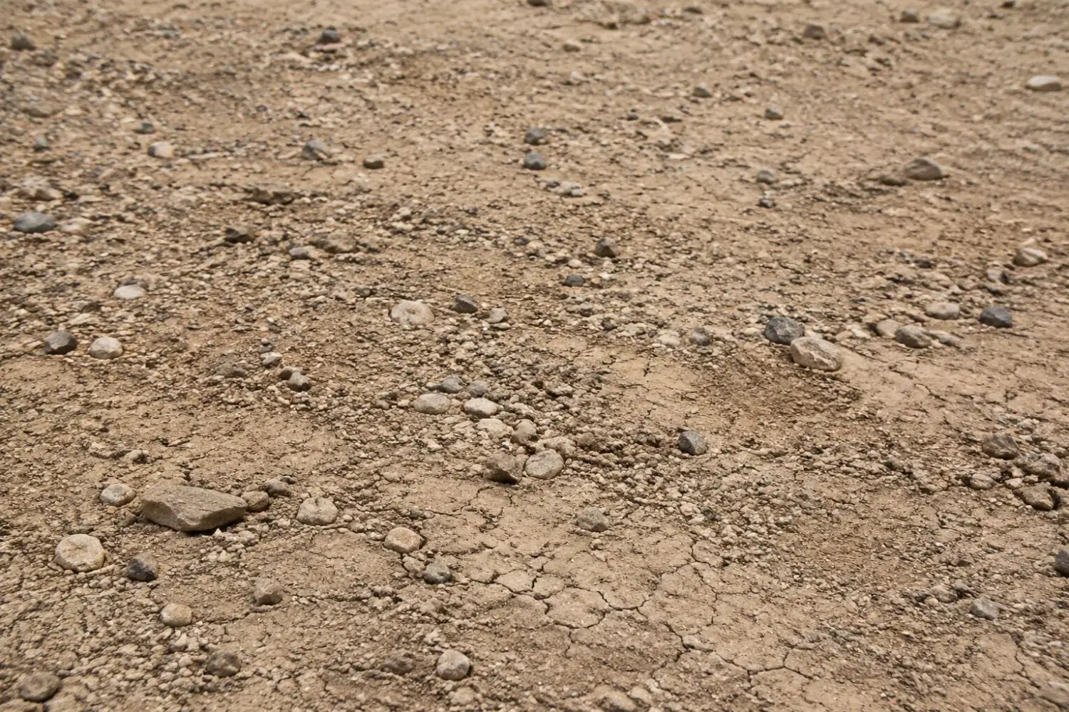 فروش زمین صدرا