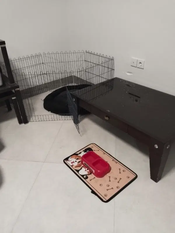 نیازمند همخانه خانم