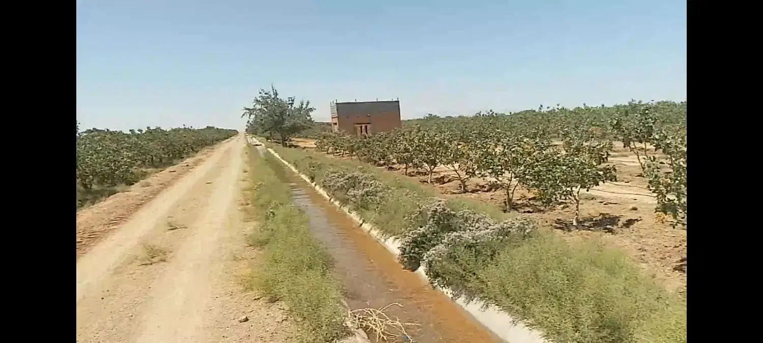 ۱۵۰ هکتار سند تکبرگ