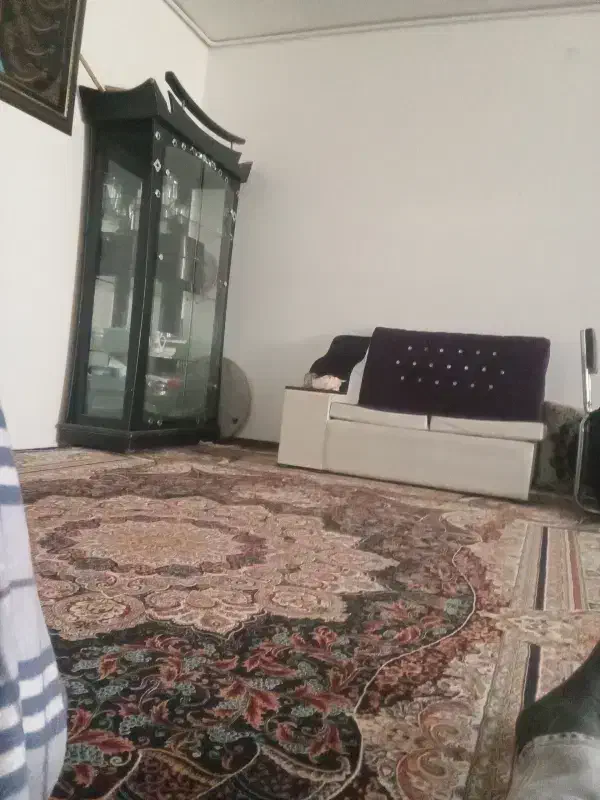 همخونه خانم
