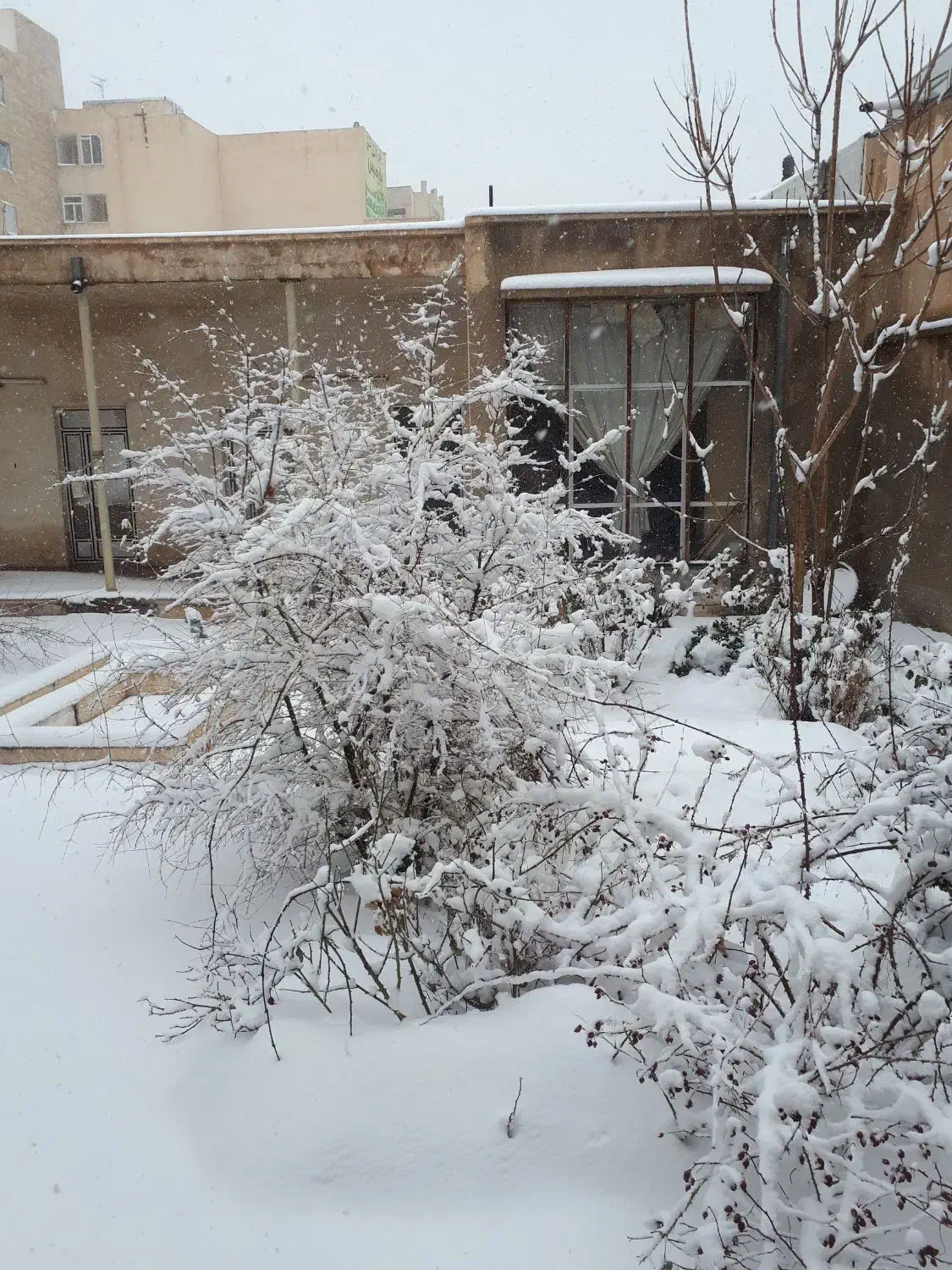 فروش ملک کنگی مرکز شهر
