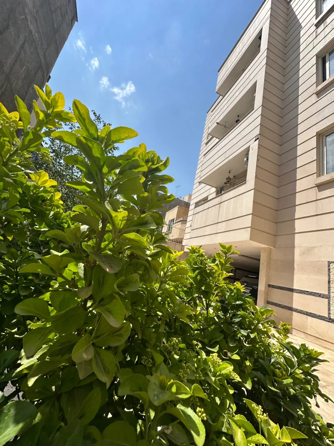 ۹۰ متری و ۱۶۵ متری رهن و اجاره