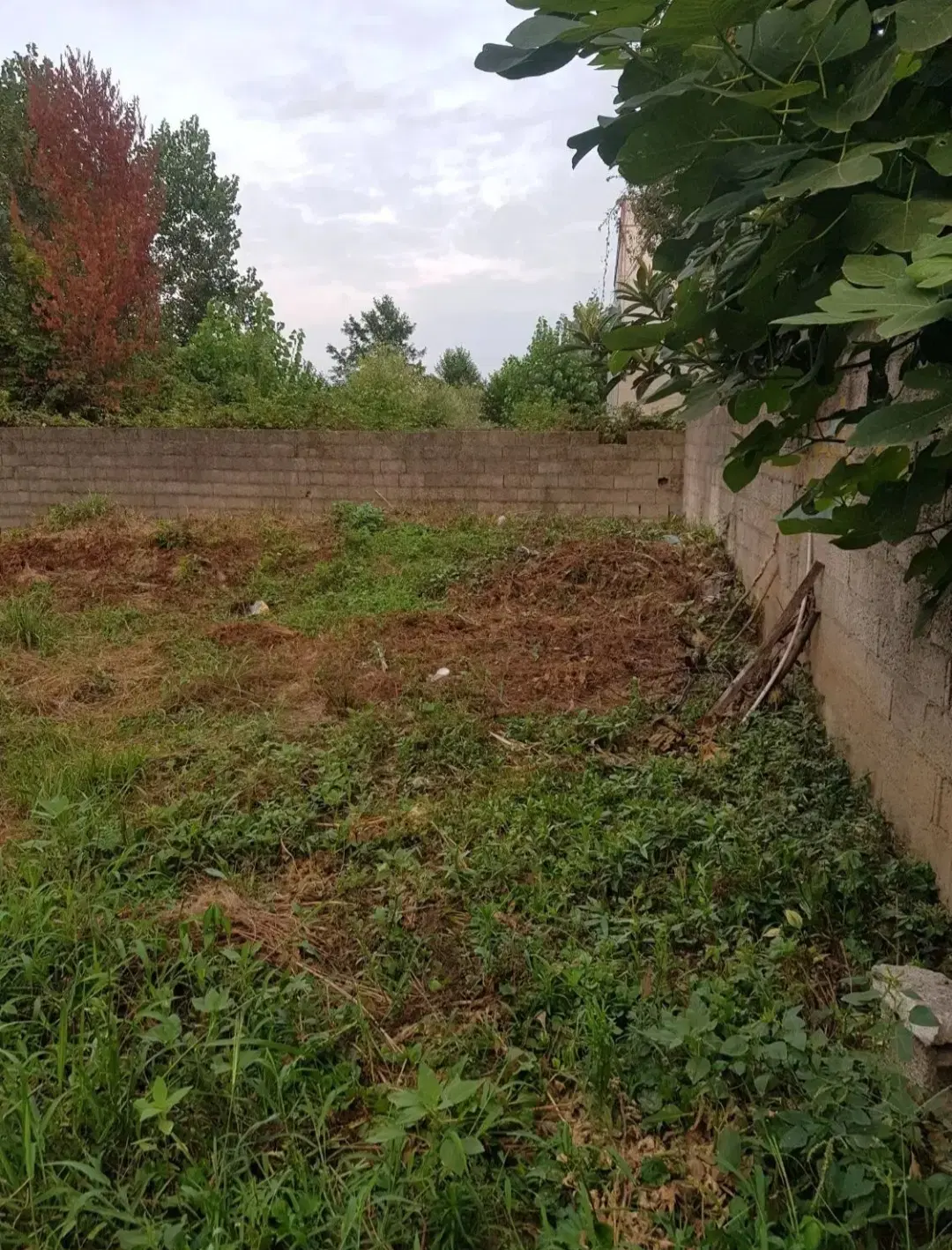 زمین مسکونی در شمال.فومن.گیلان