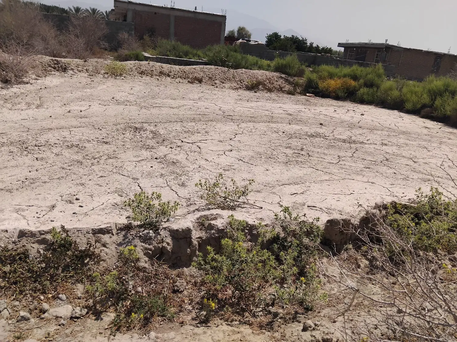 خریدار زمین