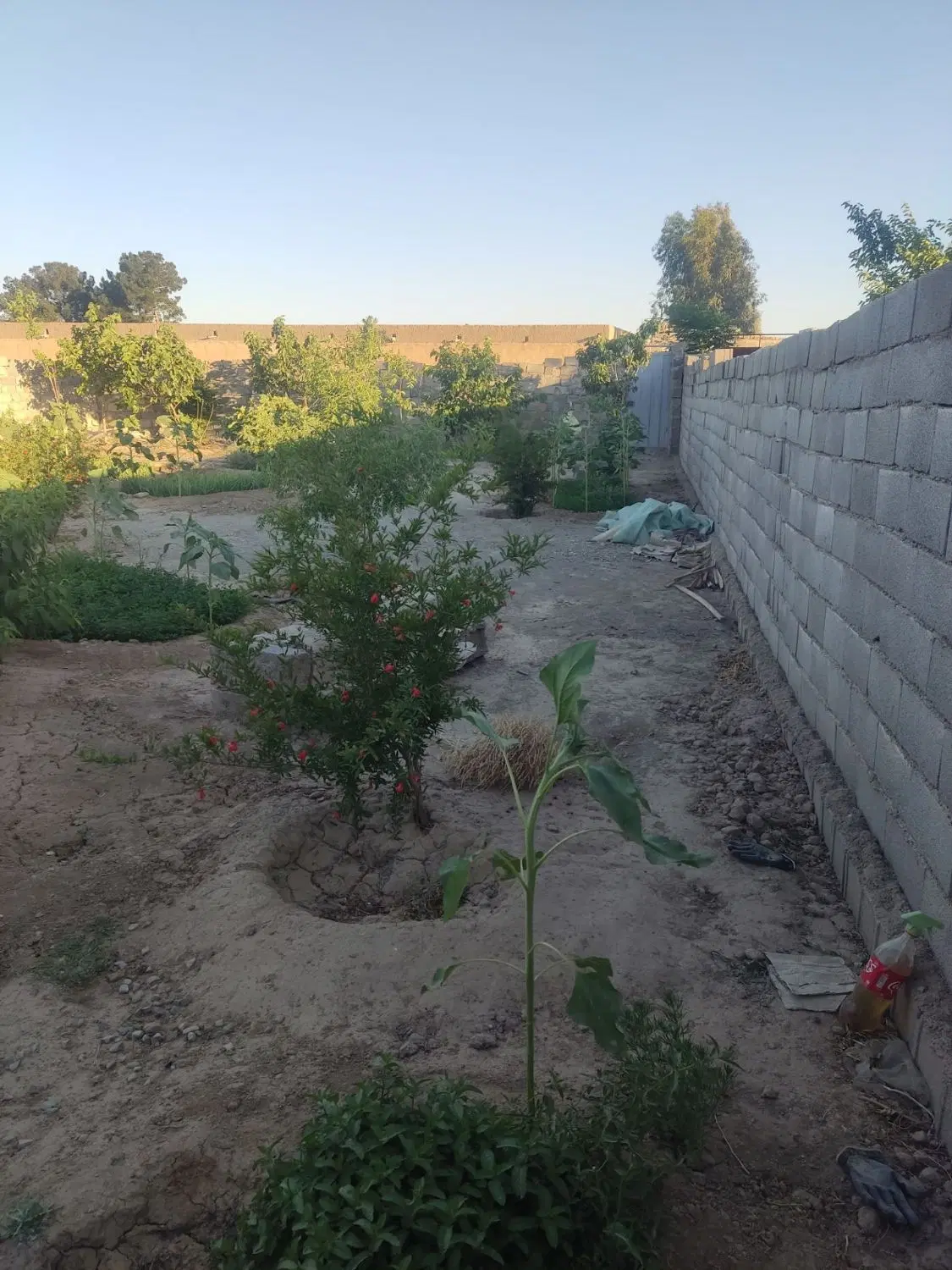 باغچه ۴ دیواری ۴۲۵ متری