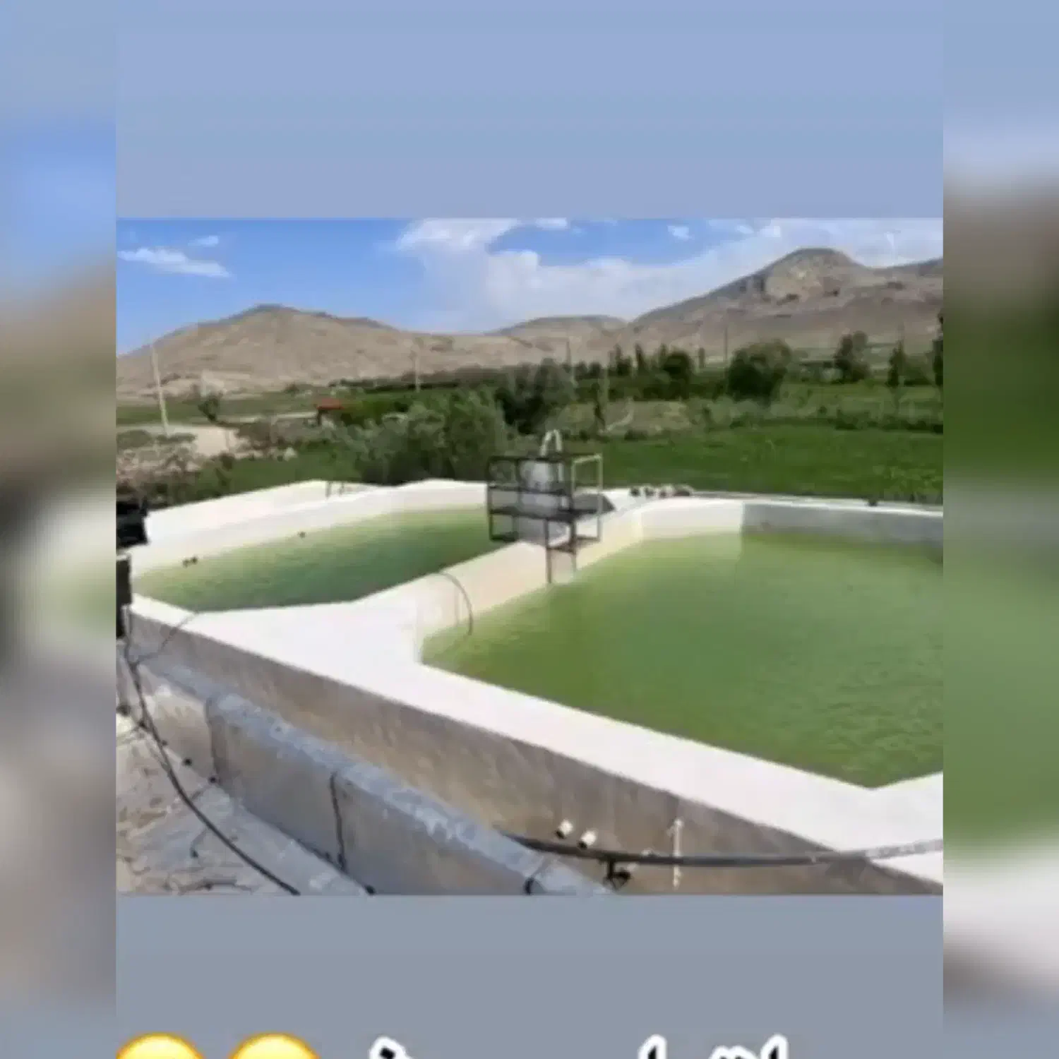 پرورش ماهی